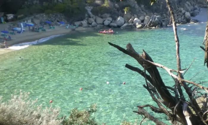 Rexer-Isola-del-Giglio-Trilocale-al-piano-unico-livello-nel-borgo-di-Giglio-Castello-Altro