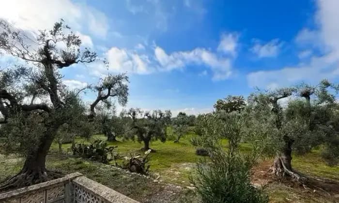 Rexer-Ostuni-Villetta-con-terreno-vendesi-in-contrada-Picoco-Grotte-BR-Terrazzo