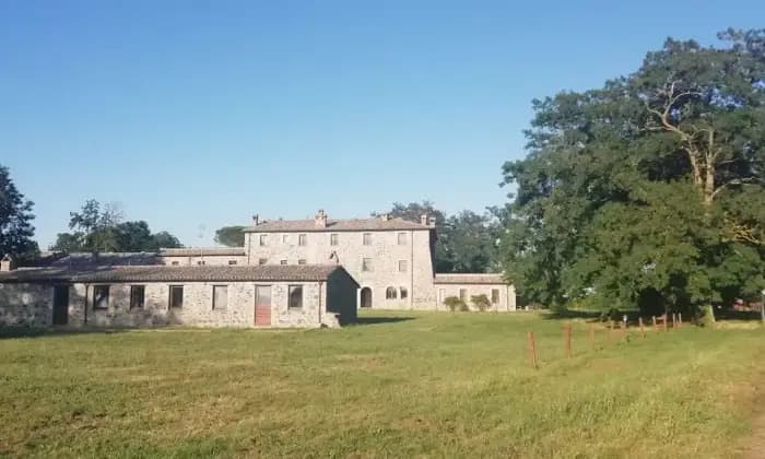 Rexer-Castel-Giorgio-Vendesi-Rustico-Appartamento-in-Casale-Contrada-Case-Rosse-a-Castel-Giorgio-Giardino