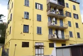 Rexer-Frosinone-Appartamento-ristrutturato-in-vendita-a-FROSINONE-FR-Giardino