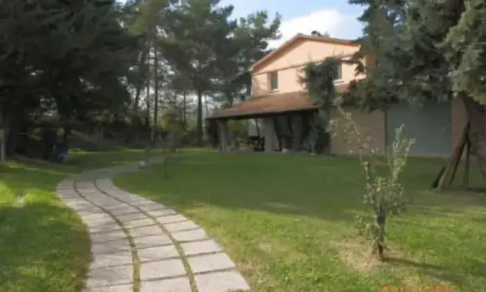 Rexer-Senigallia-Villa-immersa-nel-verde-con-mq-di-gairdino-a-Senigallia-Giardino