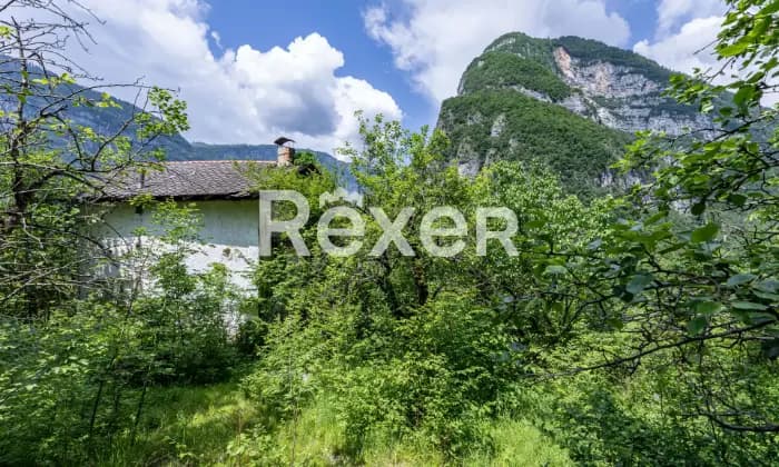 Rexer-Grigno-Villetta-e-rudere-da-ristrutturare-immersi-nel-verde-ESTERNO
