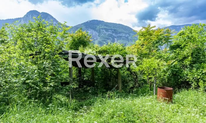 Rexer-Grigno-Villetta-e-rudere-da-ristrutturare-immersi-nel-verde-GIARDINO