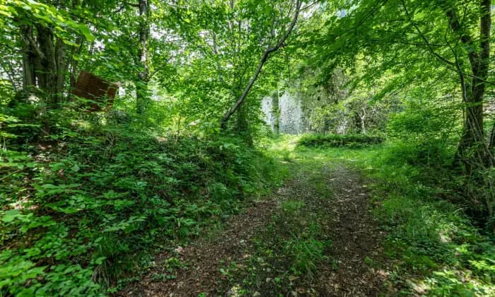 Rexer-Grigno-Villetta-e-rudere-da-ristrutturare-immersi-nel-verde-GIARDINO