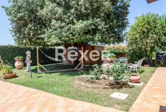 Rexer-Campiglia-Marittima-Villa-singola-con-ampio-giardino-in-zona-centrale-residenziale-GIARDINO