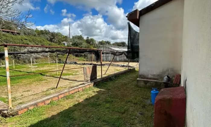 Rexer-Scalea-Casa-indipendente-con-giardino-terrazzo-e-terreno-Giardino