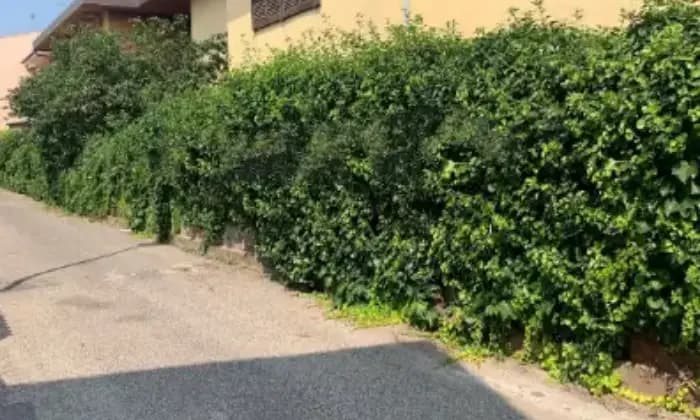 Rexer-Oschiri-Vendesi-villa-in-via-San-DemetrioOschiri-Terrazzo