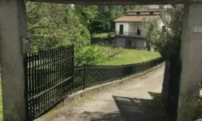 Rexer-Villafranca-in-Lunigiana-Villa-in-vendita-in-Vai-Arborio-Villafranca-in-Lunigiana-Giardino