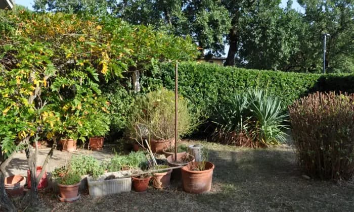 Rexer-Sarteano-APPARTAMENTO-CON-GIARDINO-Giardino