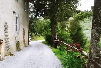Rexer-Cavriglia-Rustico-Casale-in-Vendita-in-Montegonzi-Giardino