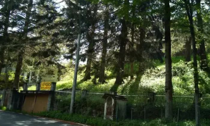 Rexer-Usseglio-Propriet-rustica-in-vendita-in-Losera-Giardino