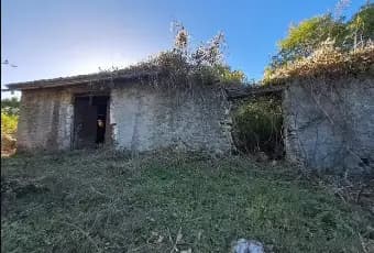 Rexer-Orvinio-Propriet-con-terreno-in-vendita-Terrazzo