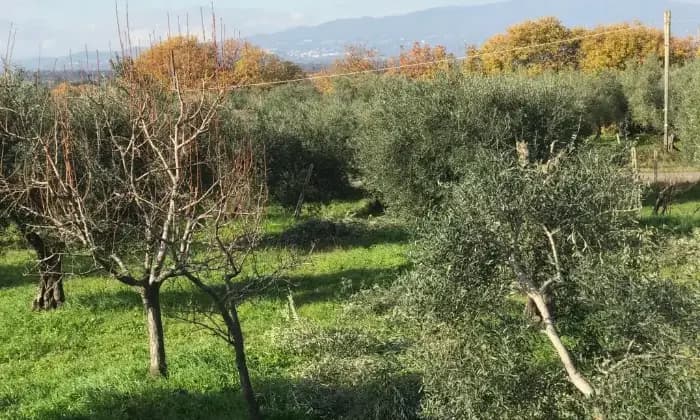 Rexer-Cori-Terreno-di-mq-edificabile-in-zona-artigianale-Terrazzo