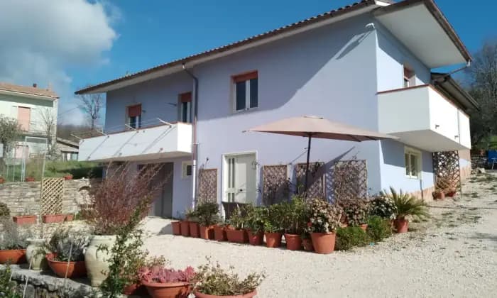 Rexer-Pontelandolfo-Villa-in-collina-con-grande-oliveto-Terrazzo