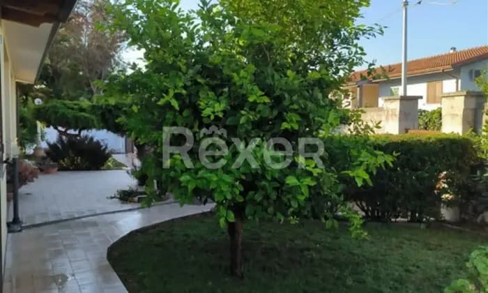 Rexer-Sassari-Villetta-indipendente-con-giardino-e-piscina-Giardino