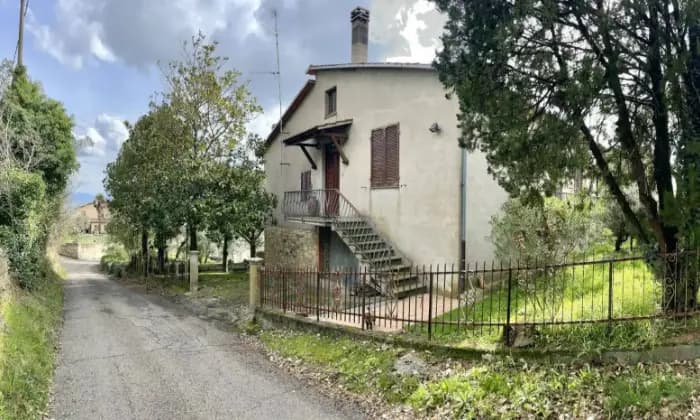 Rexer-Orvieto-Villa-bifamiliare-in-vendita-in-Localit-Fossatello-ad-Orvieto-Giardino