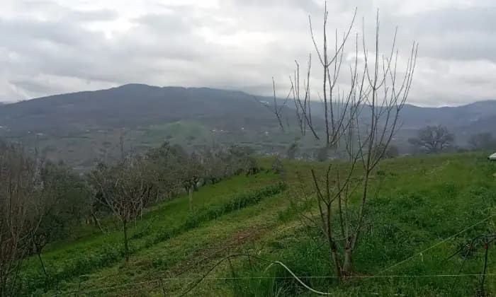 Rexer-Trivento-Casalecascina-in-vendita-in-contrada-Vivara-Terrazzo