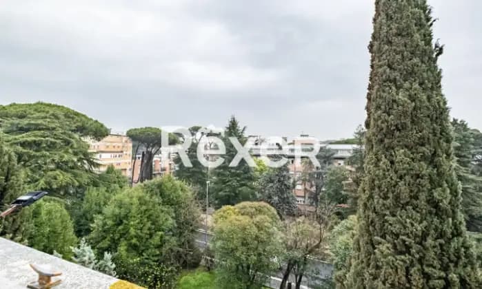 Rexer-Roma-Gemelli-Via-della-Pineta-Sacchetti-Giardino