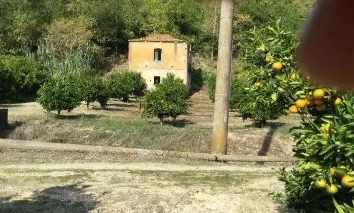 Rexer-San-Calogero-Azienda-agricola-in-vendita-in-SP-a-San-Calogero-Terrazzo