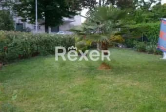 Rexer-Pegognaga-Splendida-casa-semi-indipendente-con-giardino-Giardino