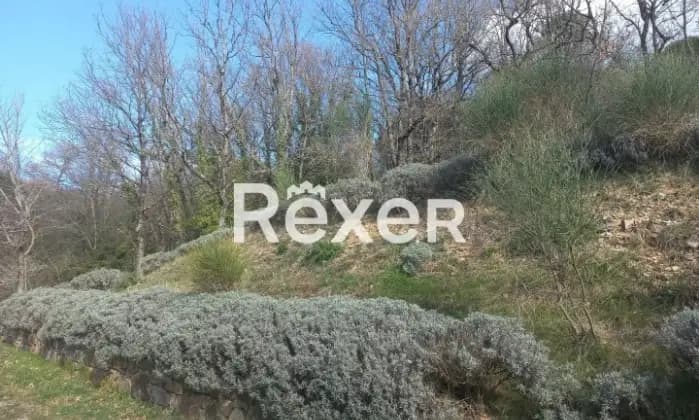 Rexer-Castelnuovo-di-Val-di-Cecina-Podere-immerso-nel-verde-con-sorgente-dacqua-privata-e-piscina-a-metri-di-altitudine-Giardino