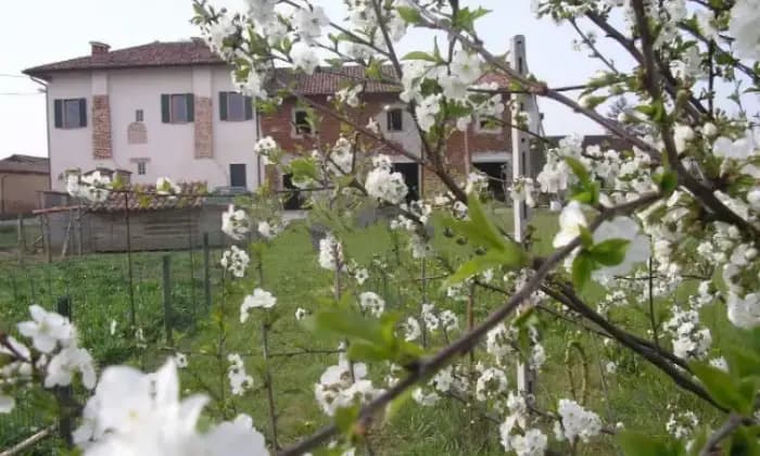 Rexer-Pontevico-Casalecascina-in-vendita-in-strada-gauzza-Pontevico-Giardino