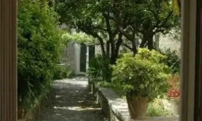 Rexer-Salento-Palazzetto-del-con-giardino-privato-di-mq-GIARDINO