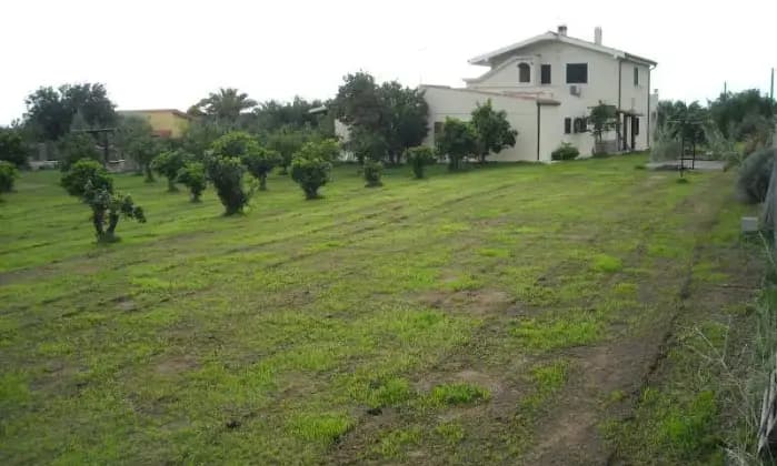 Rexer-Cagliari-Villa-unifamigliare-da-sogno-con-immensa-piscina-GIARDINO