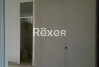 Rexer-Roma-Grazioso-bilocale-piano-terra-silenzioso-ALTRO